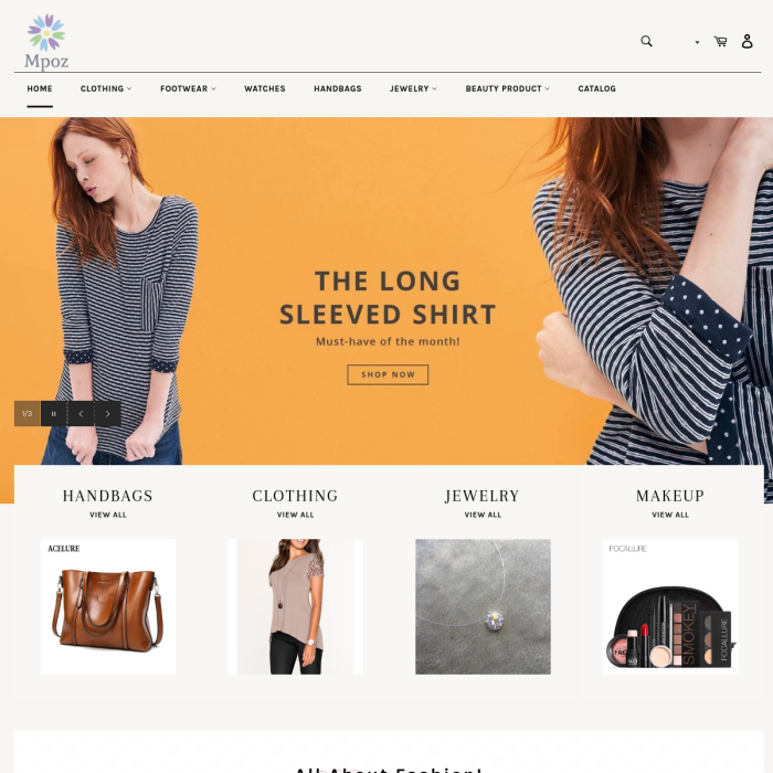 Appmixo Drop Shipping Store Setup – AppMixo