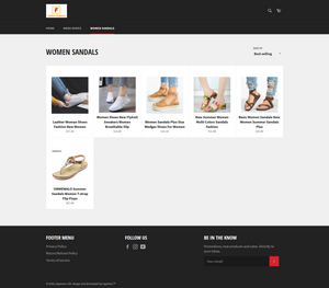 Footwear Fashion Dropshipping Store for sale