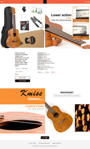 Guitar Dropshipping Store for Sale