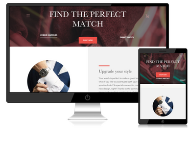 Watch for Fashion Dropshipping Store for Sale