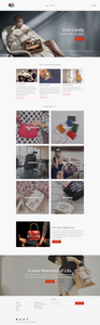 Women's Handbags Dropshipping Store for Sale
