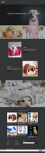 Load image into Gallery viewer, Pets Dogs Products Dropshipping Store for Sale
