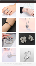 Load image into Gallery viewer, Jewelry Dropshipping Store for Sale