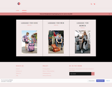 Load image into Gallery viewer, Travel Bags Dropshipping Store For sale