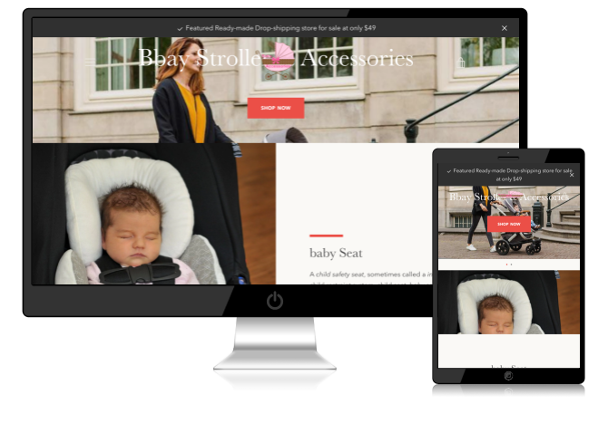 Baby Stroller and Accessories Dropshipping Store for Sale