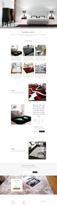 Beautiful Carpet Collection Dropshipping store for Sale
